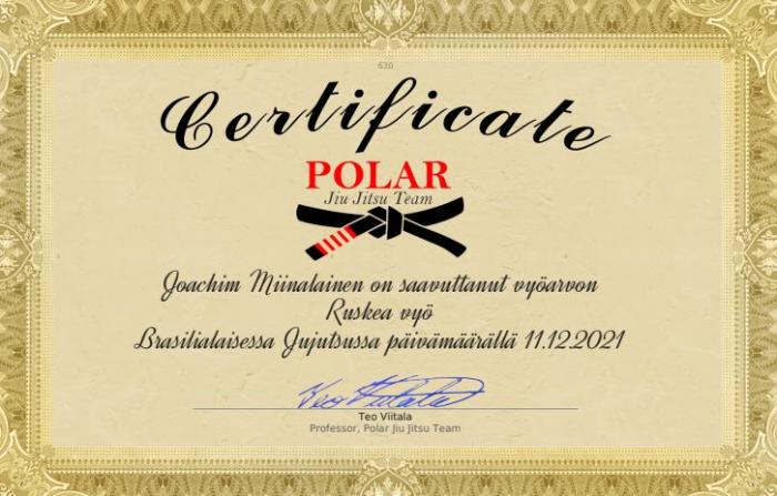Brown belt · December 11, 2021 · Promoted by Teo Anton Viitala