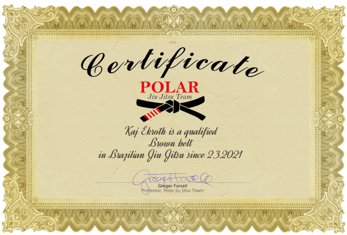 Brown belt · February 3, 2021 · Promoted by Greger Forsell