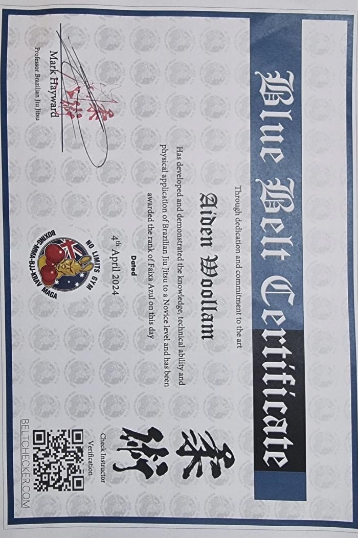 Blue belt · April 4, 2024 · Promoted by Mark Hayward