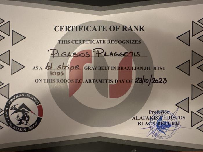 Gray belt · July 24, 2022 · Promoted by Christos Alafakis