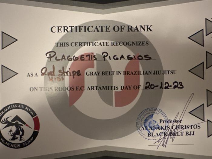 Gray belt · July 24, 2022 · Promoted by Christos Alafakis