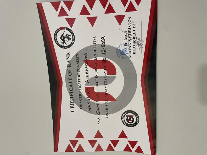 Gray belt · December 20, 2023 · Promoted by Alafakis Christos