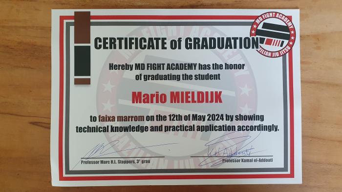 Brown belt · May 12, 2024 · Promoted by Marc Stappers