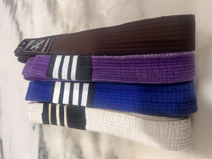 Brown belt · January 8, 2024 · Promoted by Gary Alvarez