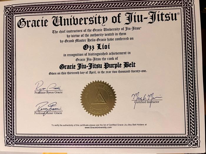 Purple belt · April 24, 2021 · Promoted by Marc Marins