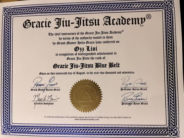 Blue belt · September 23, 2017 · Promoted by Marc Marins