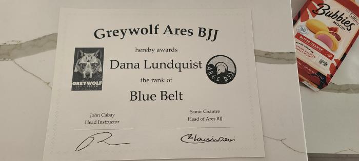 Blue belt · August 26, 2023 · Promoted by John