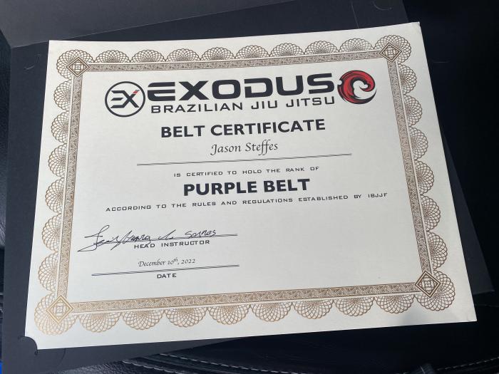 Purple belt · December 10, 2022 · Promoted by Henrique Marinho
