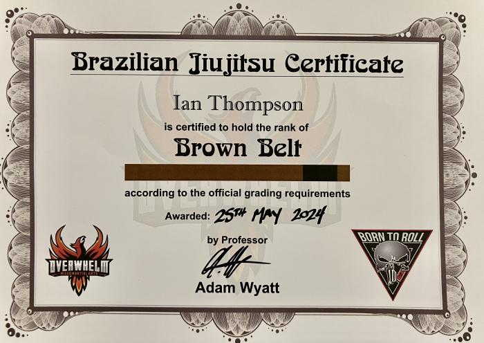 Brown Belt Promotion