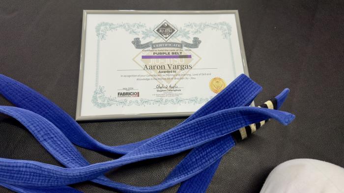 Purple belt · May 19, 2024 · Promoted by Stephen Kamphuis 5th degree black belt
