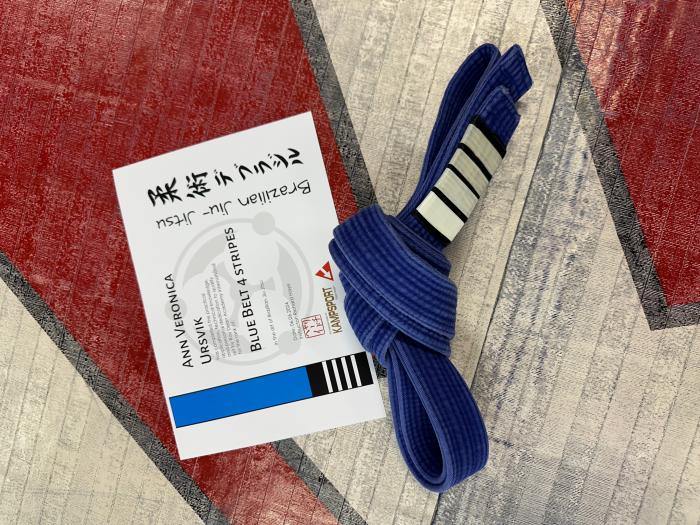 Blue belt · May 13, 2016 · Promoted by Richard Haye