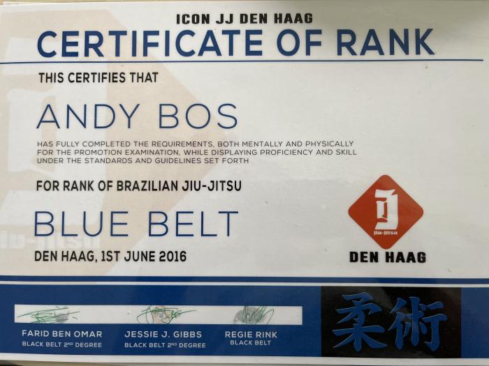 Blue belt · June 1, 2016 · Promoted by Farid ben Omar
