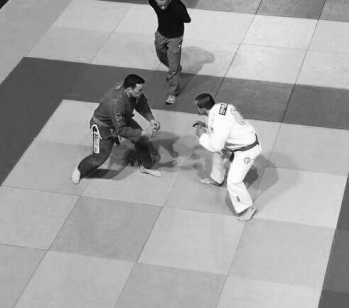Purple belt Irish open 2017