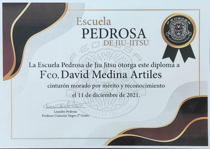 Purple belt · December 11, 2021 · Promoted by Leandro Pedrosa Costa