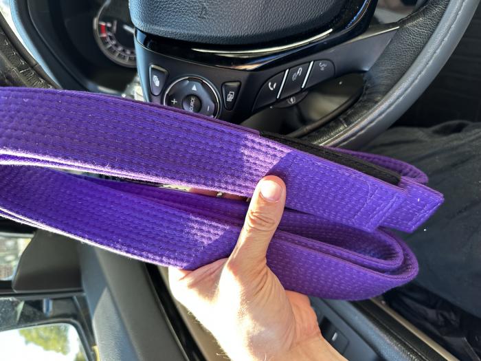 Purple belt · November 5, 2023 · Promoted by Greg Sirico