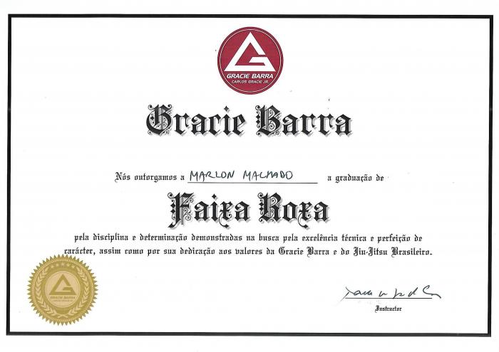 Purple belt · July 15, 2024 · Promoted by Reinaldo Ende Lopes da Silva