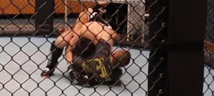 MMA Bregenz
