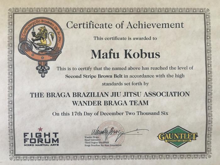 Brown belt · June 10, 2006 · Promoted by Wander Braga