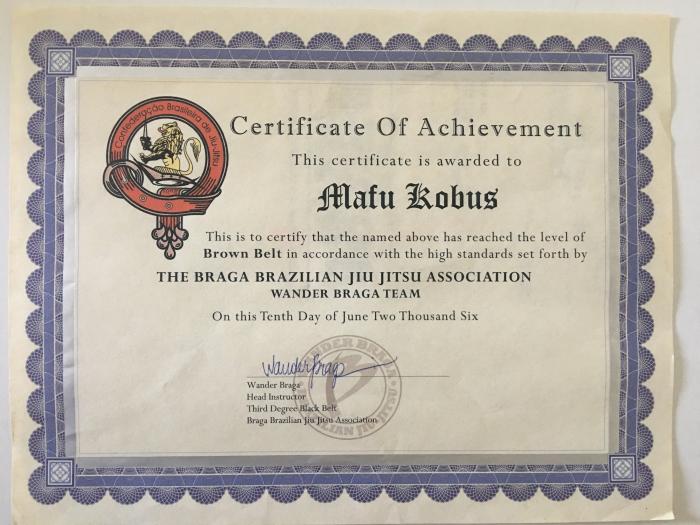 Brown belt · June 10, 2006 · Promoted by Wander Braga