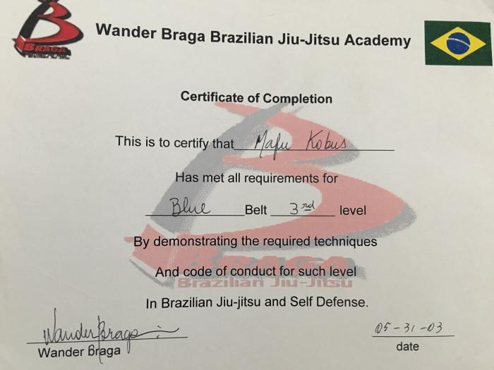 Blue belt · January 1, 2001 · Promoted by Wander Braga