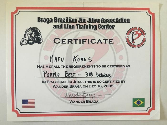 Purple belt · July 7, 2004 · Promoted by Wander Braga