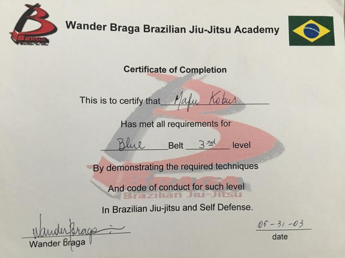 Purple belt · July 7, 2004 · Promoted by Wander Braga