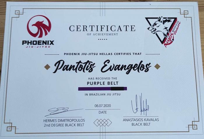 Purple belt · July 6, 2020 · Promoted by Hermes Dimitropoulos