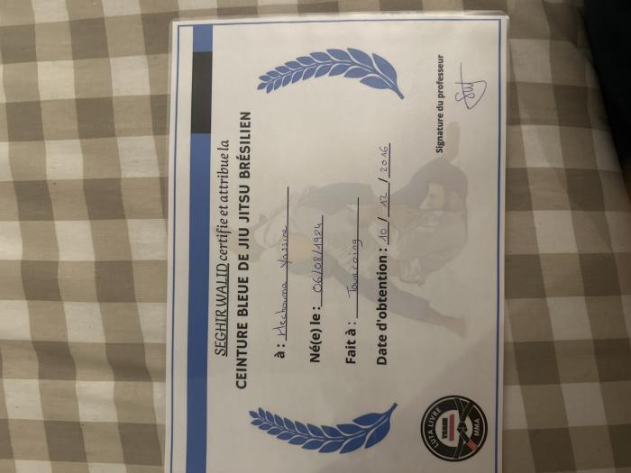 Blue belt · December 10, 2016 · Promoted by Walid Seghir