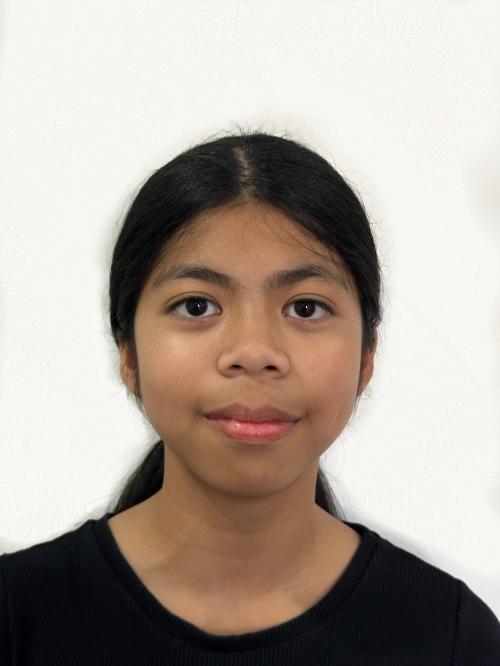 Kara Azlan