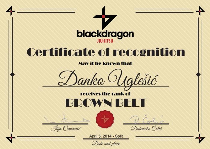Brown belt · May 4, 2014 · Promoted by Dubravko Colic
