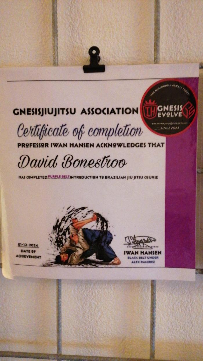Purple belt · December 1, 2024 · Promoted by Iwan Hansen