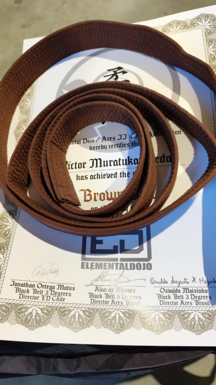 Brown belt · November 30, 2024 · Promoted by Jonathan Ortega