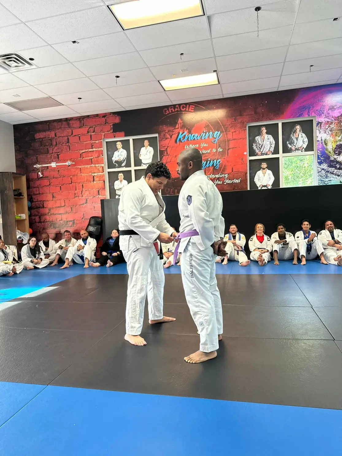 Purple Belt stripe #2