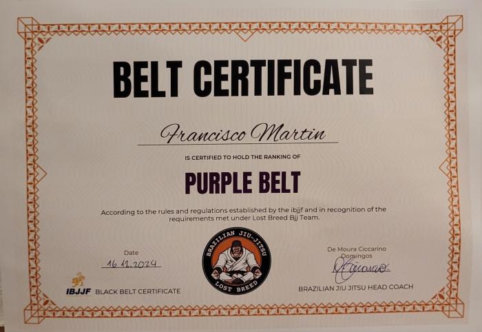 Purple belt · December 16, 2024 · Promoted by Domingos Ciccarino