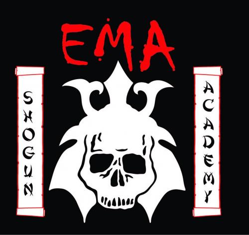 Evolutionary Martial Arts