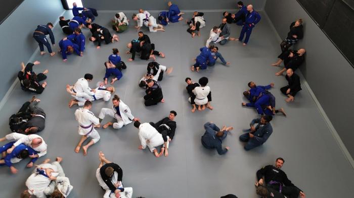 Black belt · January 12, 2025 · Promoted by Augusto Ferrari