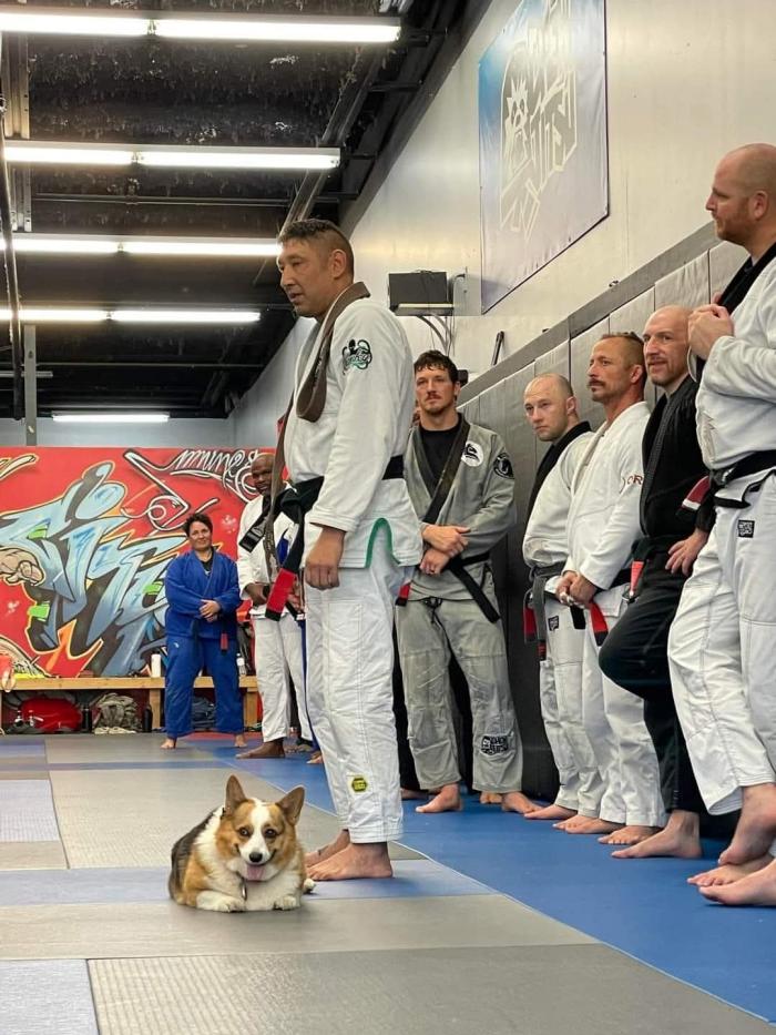 Black belt · November 5, 2023 · Promoted by Nick (Chewy) Albin