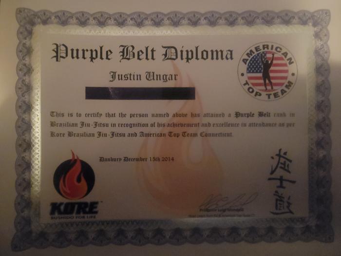 Purple belt · December 15, 2014 · Promoted by Luigi Mondelli