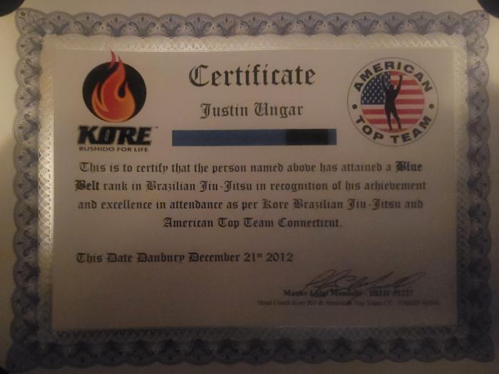 Blue belt · December 21, 2012 · Promoted by Luigi Mondelli