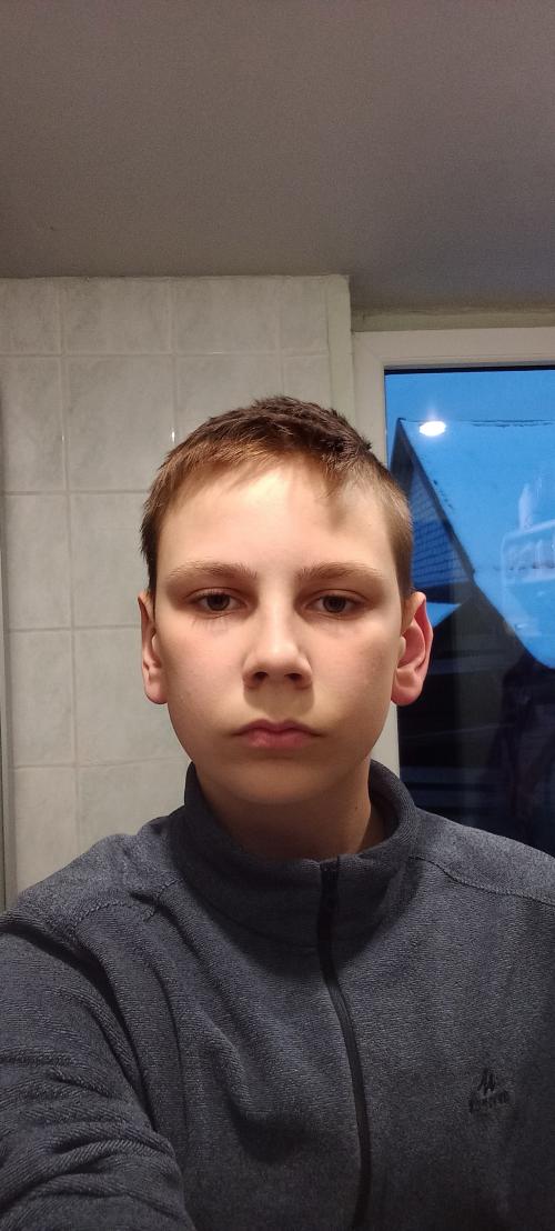 Ernests Fogelis