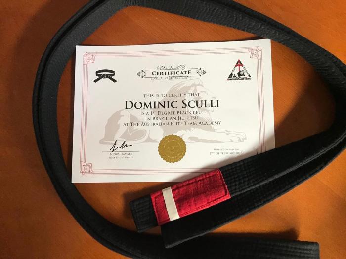 Black belt 1st degree · February 17, 2025 · Promoted by Ninos Dammo