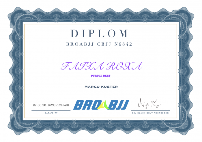 Purple belt · May 27, 2019 · Promoted by Felipe Thiago Pereira da Silva