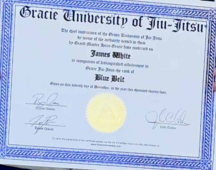Blue belt · December 7, 2024 · Promoted by John Carter