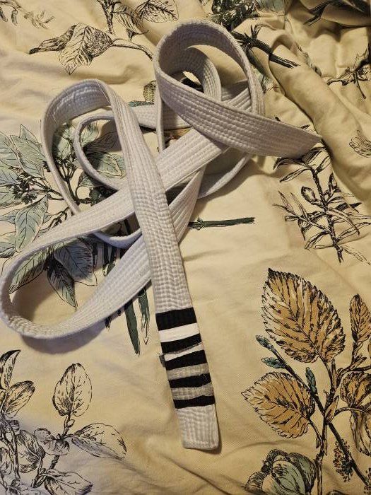 White belt · March 7, 2022