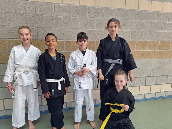Yellow belt · April 6, 2025 · Promoted by Eric Van Vaerenbergh