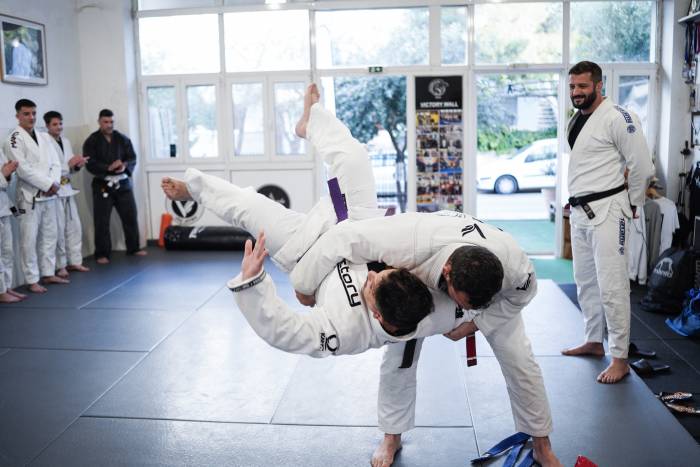 Purple belt · April 5, 2025 · Promoted by Konstantinos Vavouras