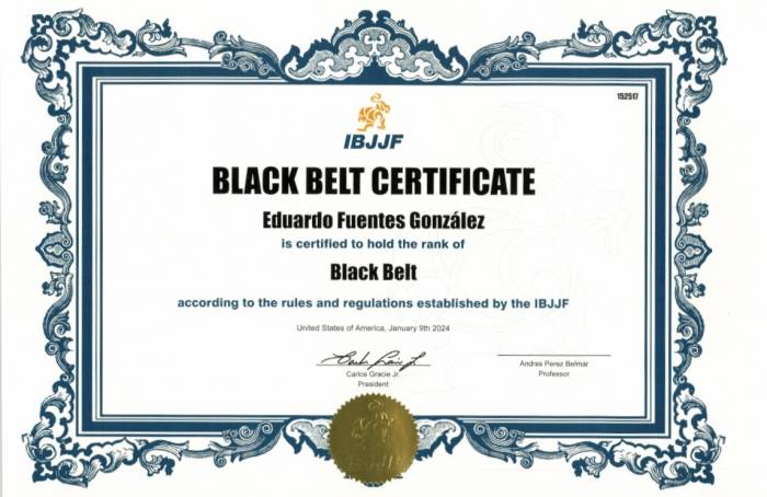 Black belt · December 22, 2022 · Promoted by Andres Perez Belmar