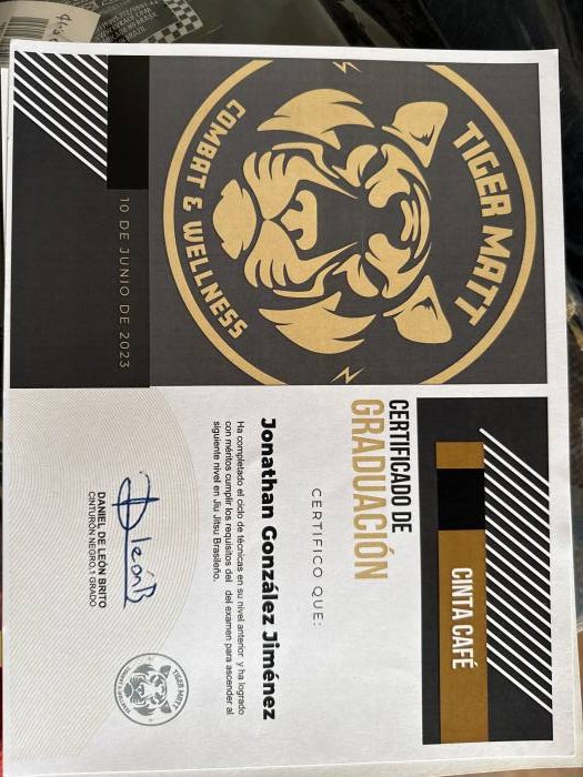Brown belt · December 10, 2023 · Promoted by Daniel De Laon