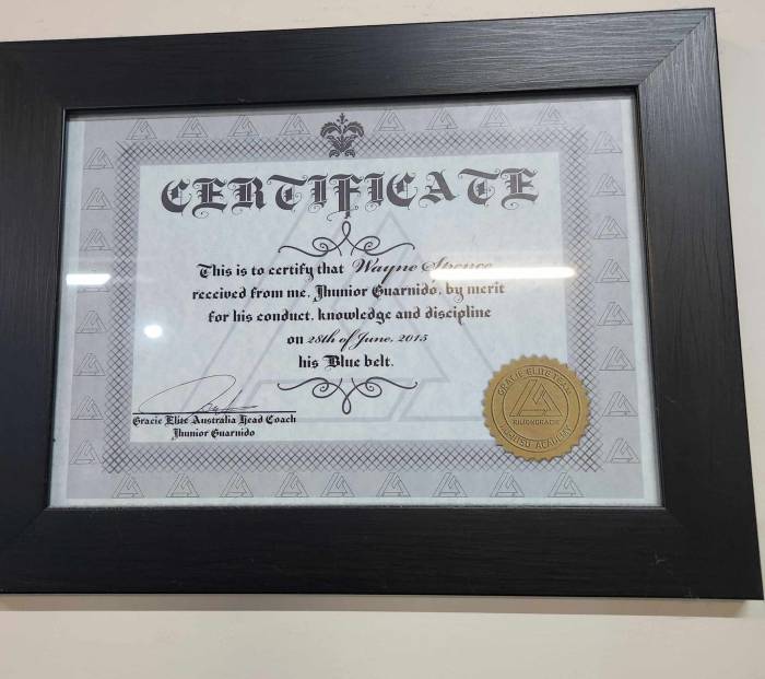 Blue belt · July 1, 2015 · Promoted by Jhunior Guarnido