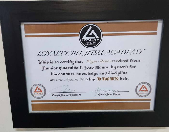 Brown belt · August 1, 2021 · Promoted by Jhunior Guarnido